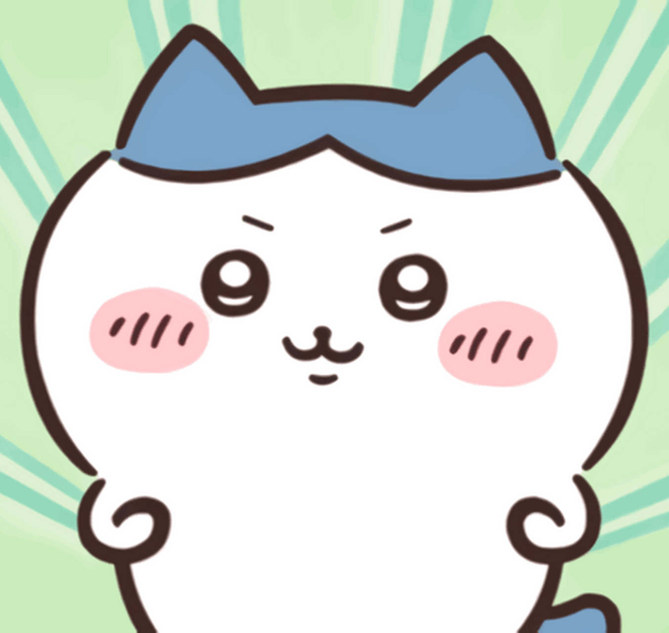 有网友说王一博像八字猫[笑哭]你觉得呢?