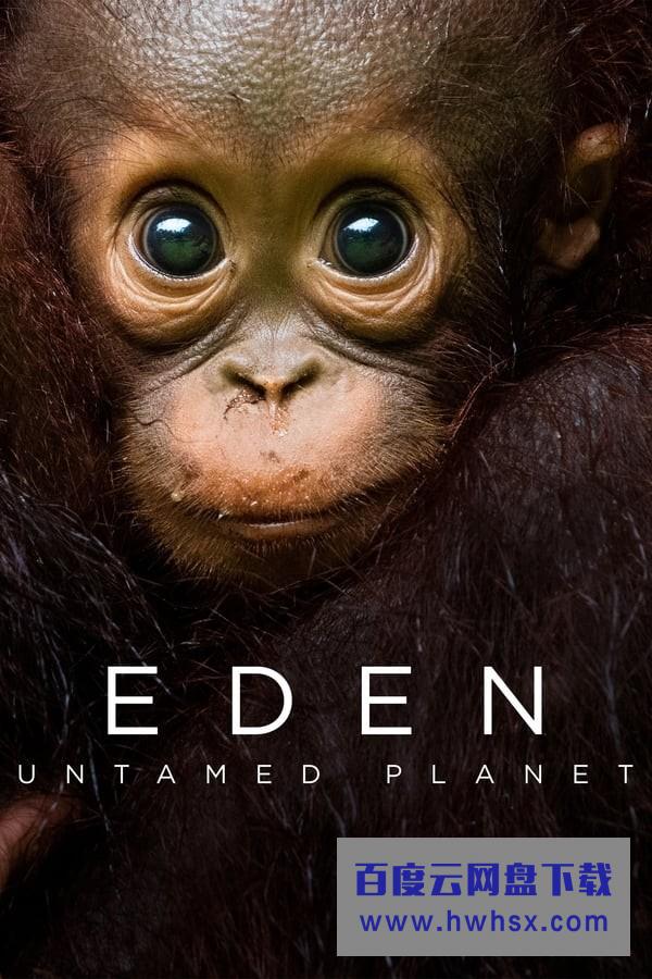 [伊甸园：最后的秘境 Eden: Untamed Planet 第一季][全6集]4K|1080P高清百度网盘
