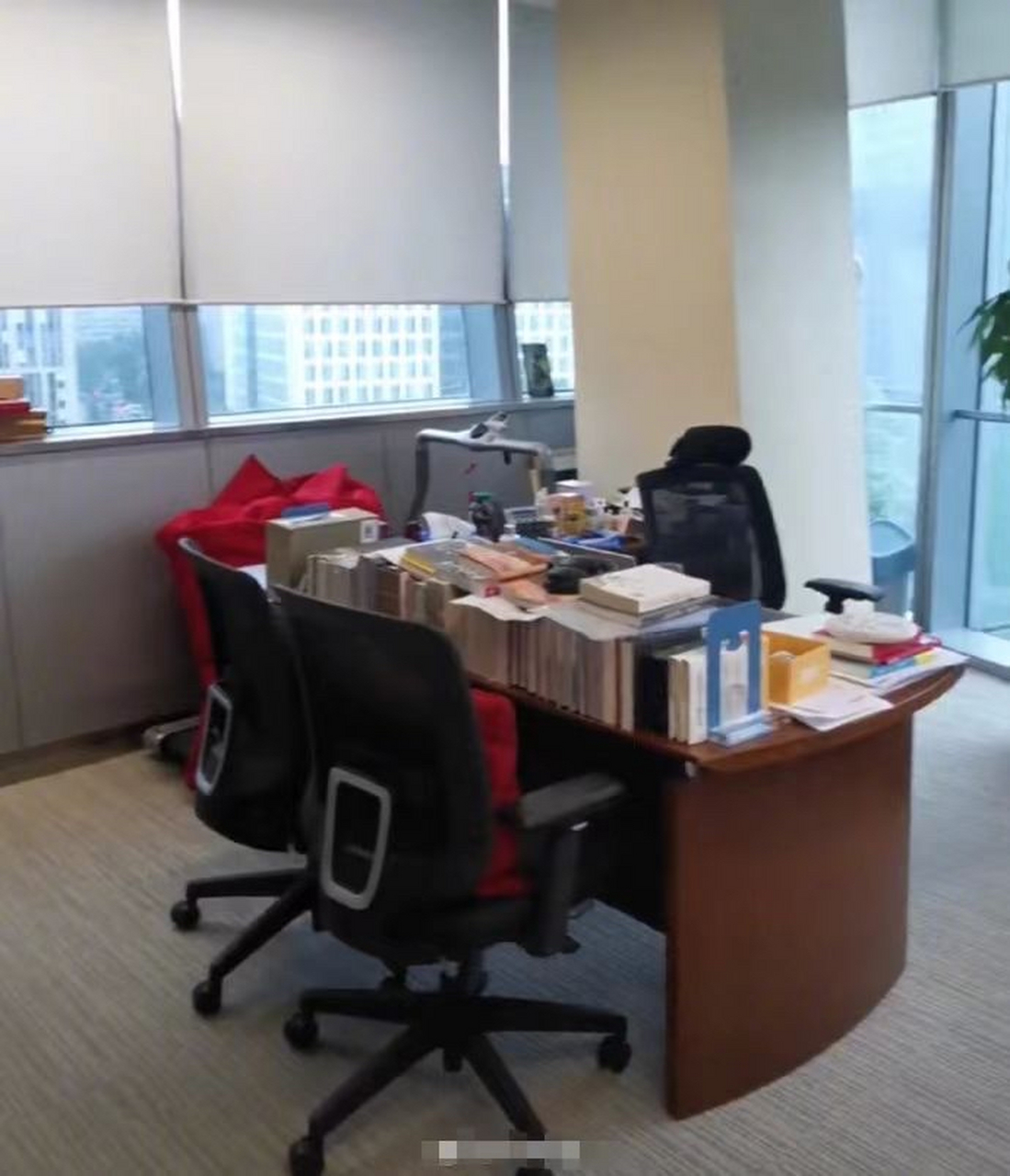 俞敏洪晒办公室!