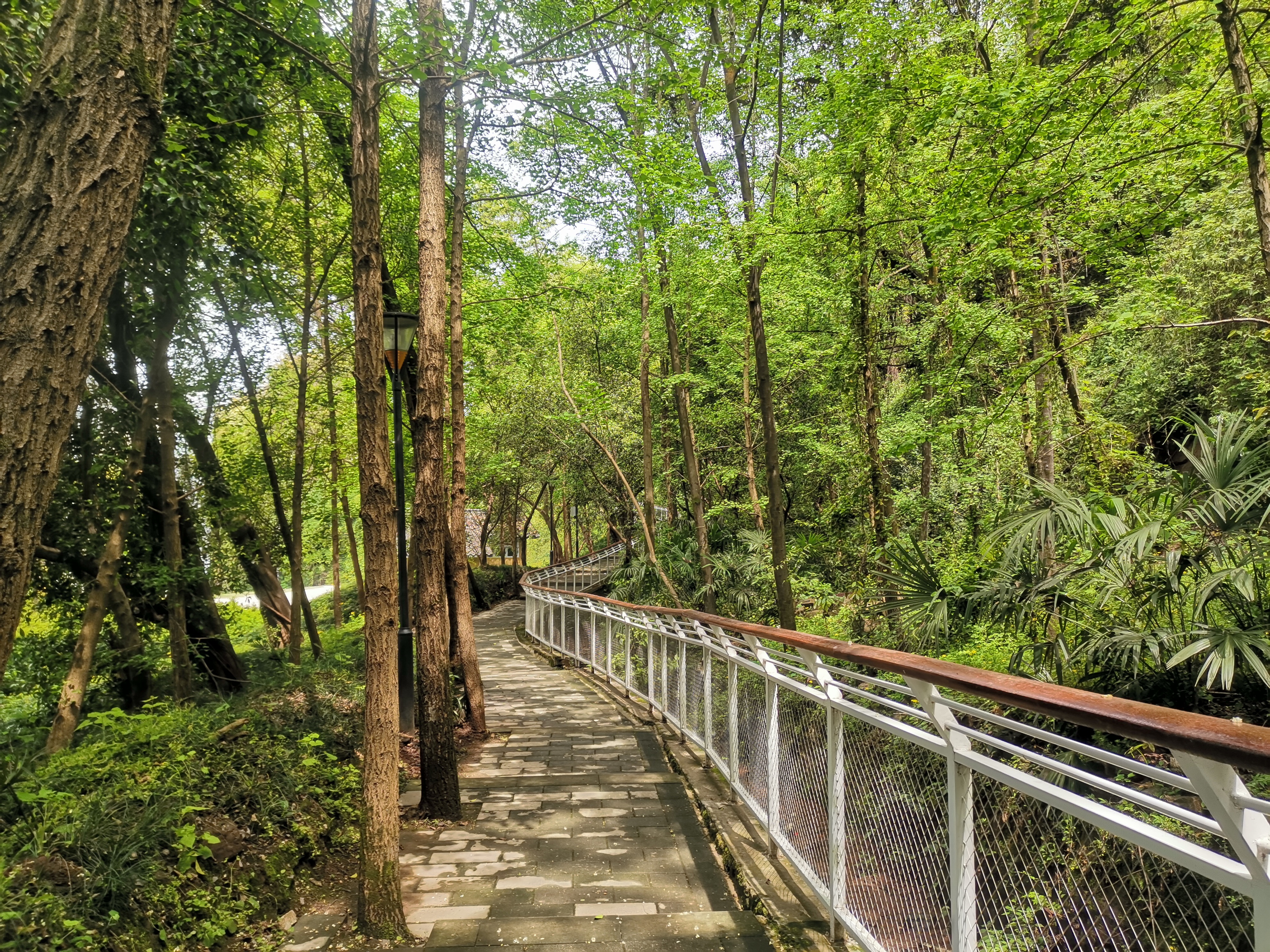 渝北区两路林间小道,青山绿水环境优美,人间仙境却鲜为人知