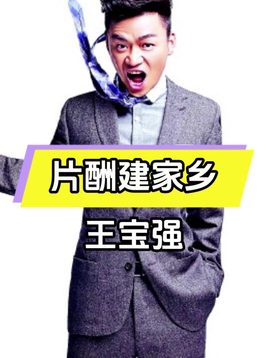 王宝强捐全部片酬建家乡,大爱之举引热议!