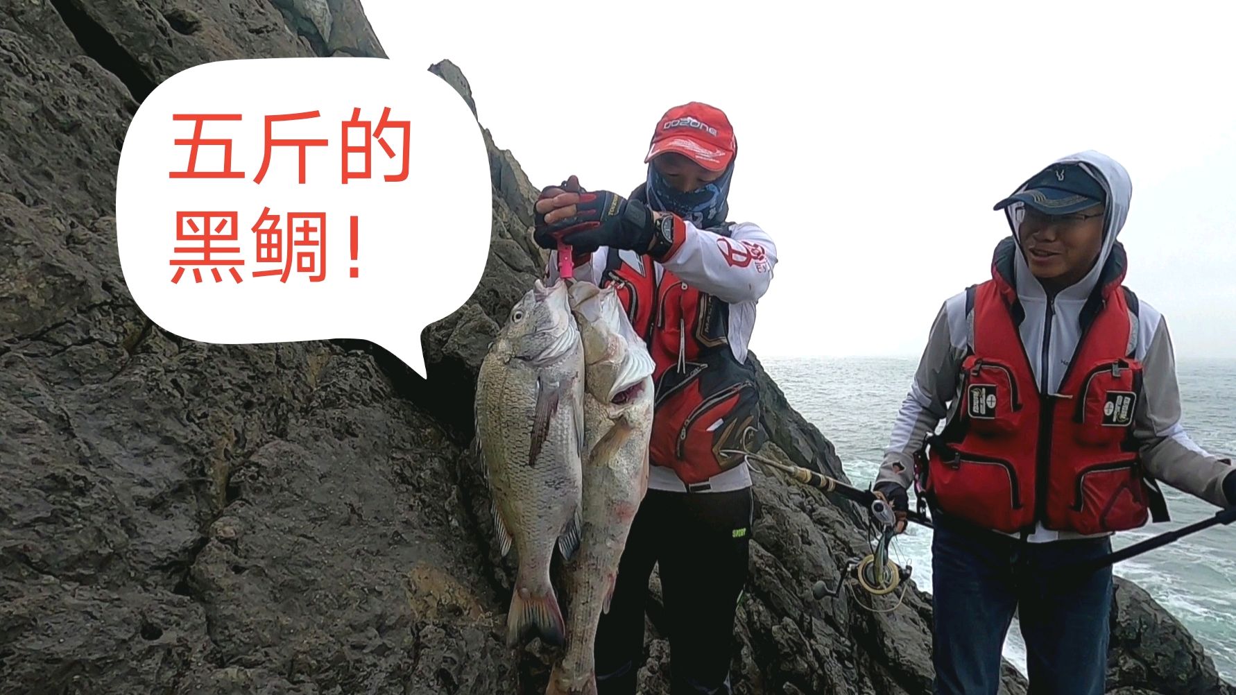 大师今天又中5斤大黑鲷,7斤大海鲈,其他人一条没钓到,鱼哪去了