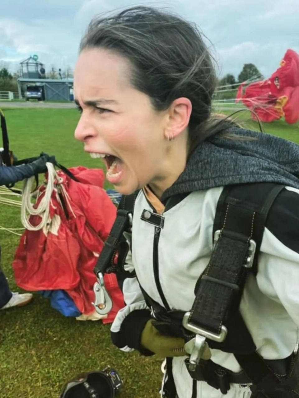 龙妈跳伞,新表情包出炉