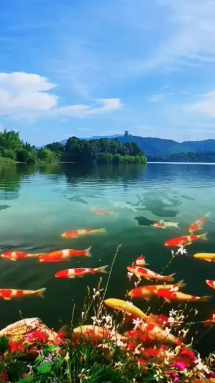 发财好运风景图片大全图片