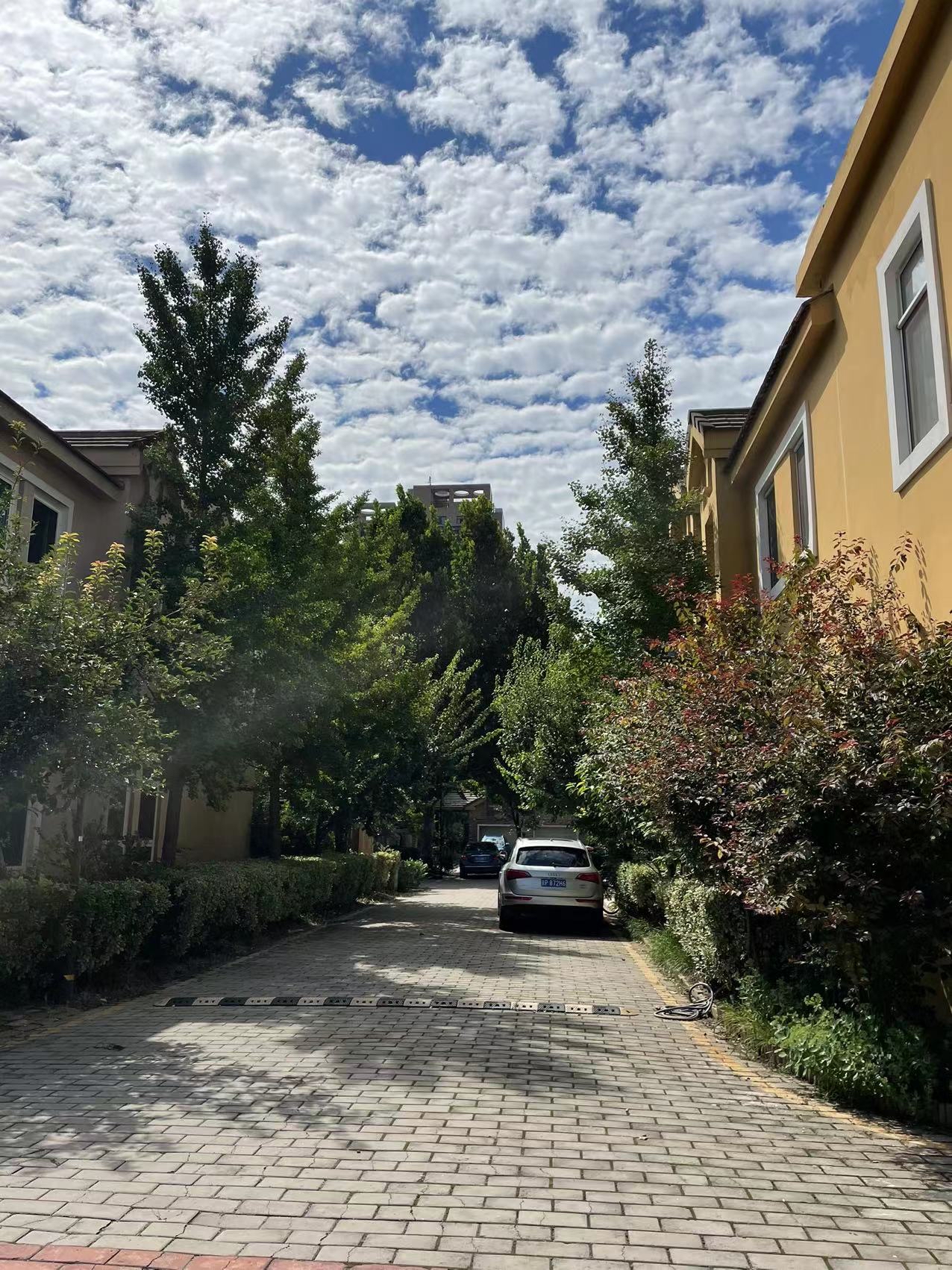 dearvilla最便宜的一套独栋不卖了