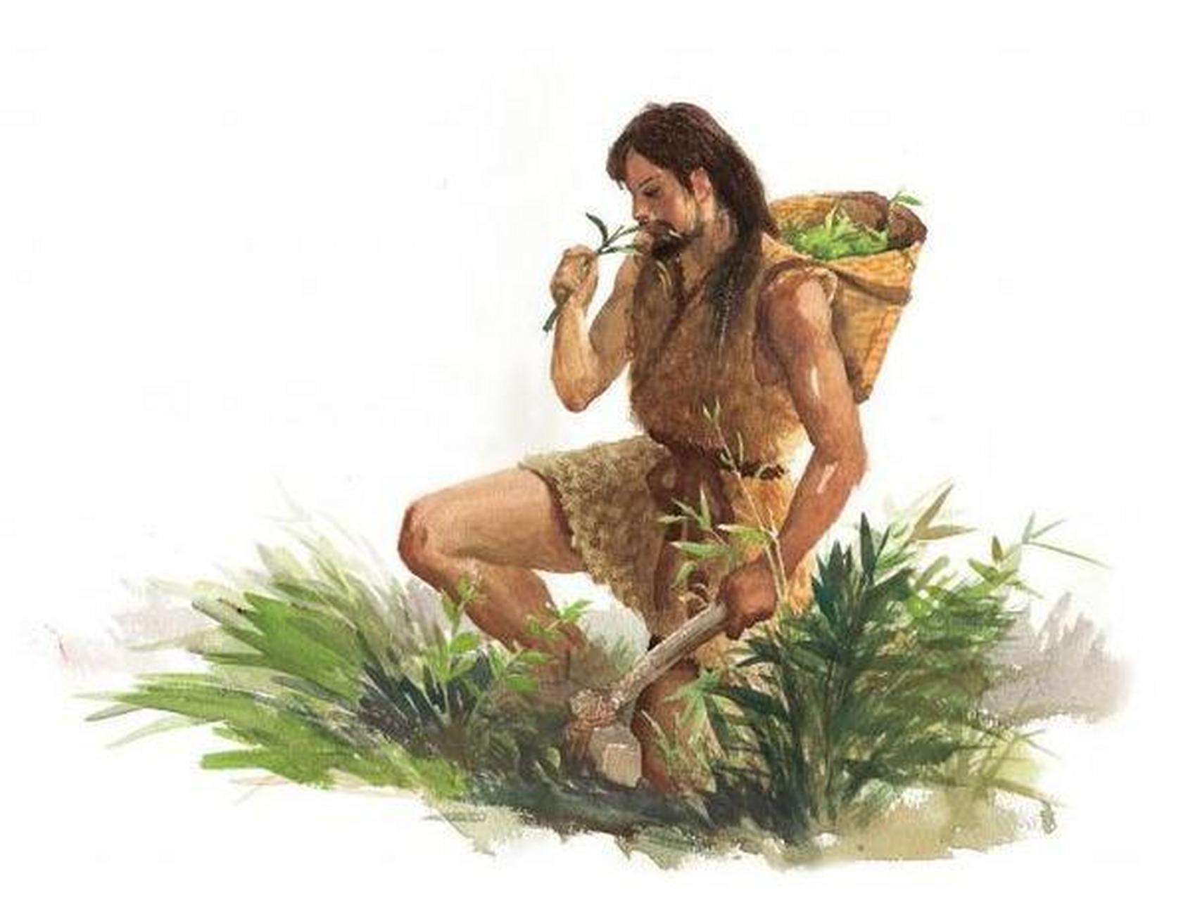 据传,神农氏,又称炎帝.