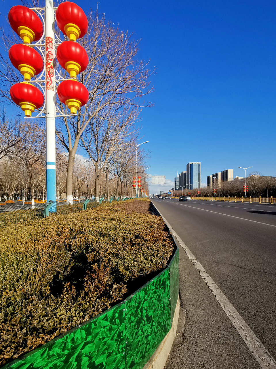 照片中的这条路,被称之为港城大道,是我们龙口东城区通往西城区的一条