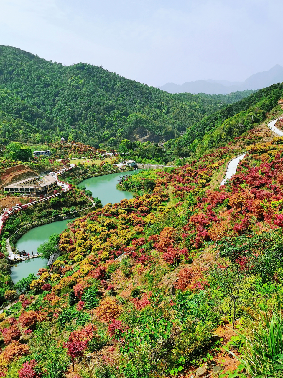 大荆镇桐阳村图片图片