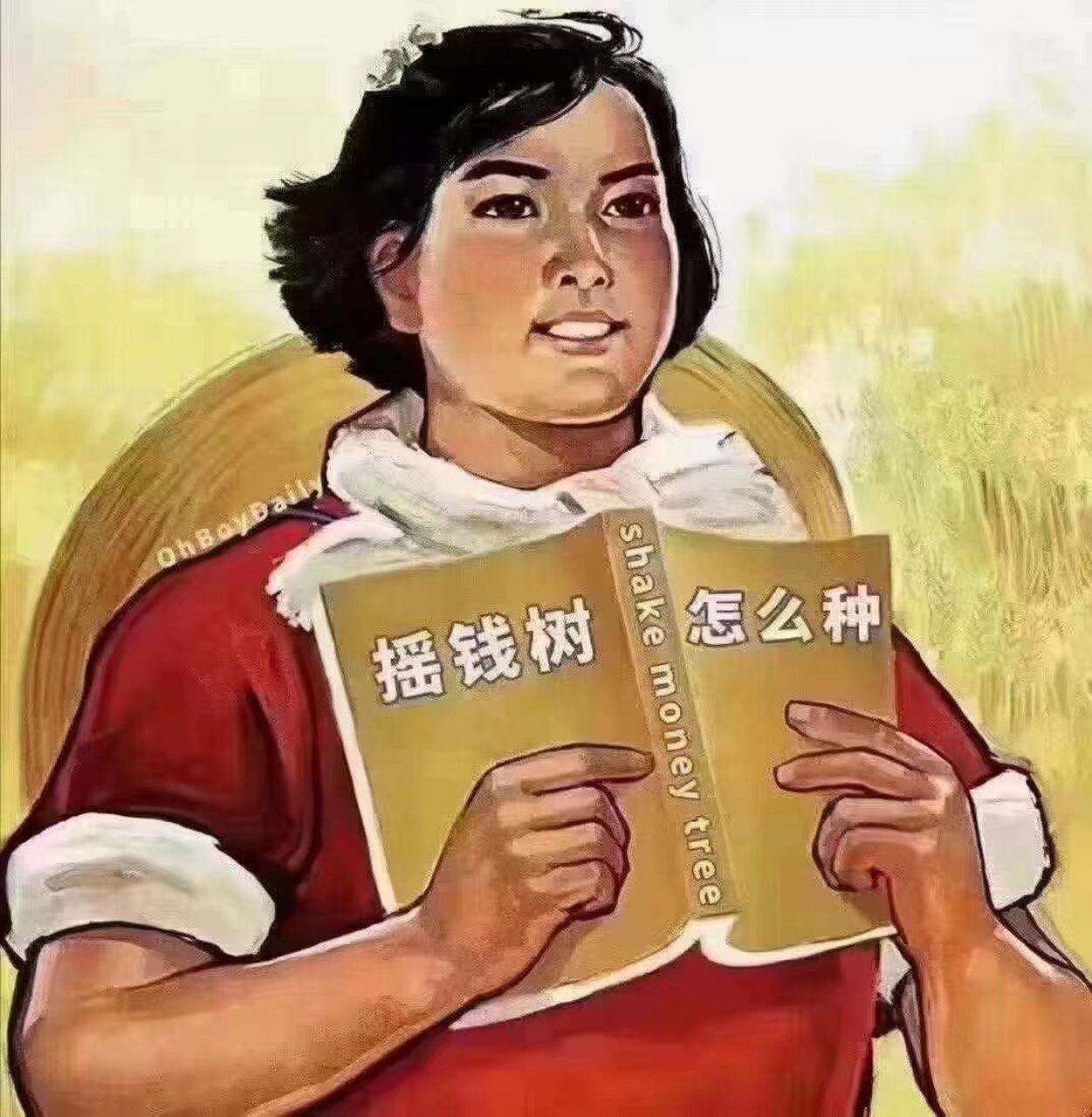 3月12日植树节,请问摇钱树怎么种?