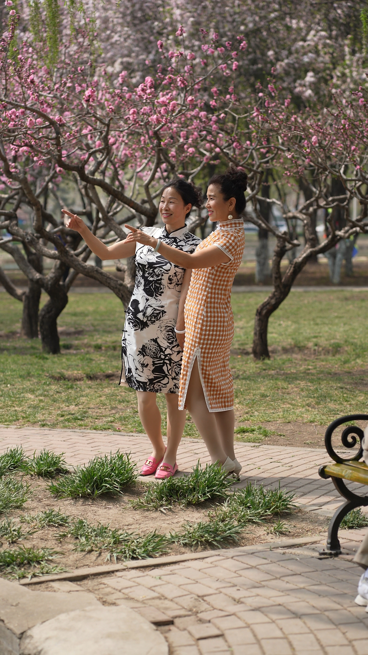 旗袍大妈这气质不服都不行