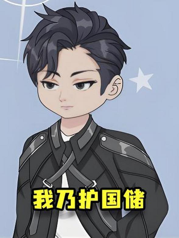 我乃护国储封面图