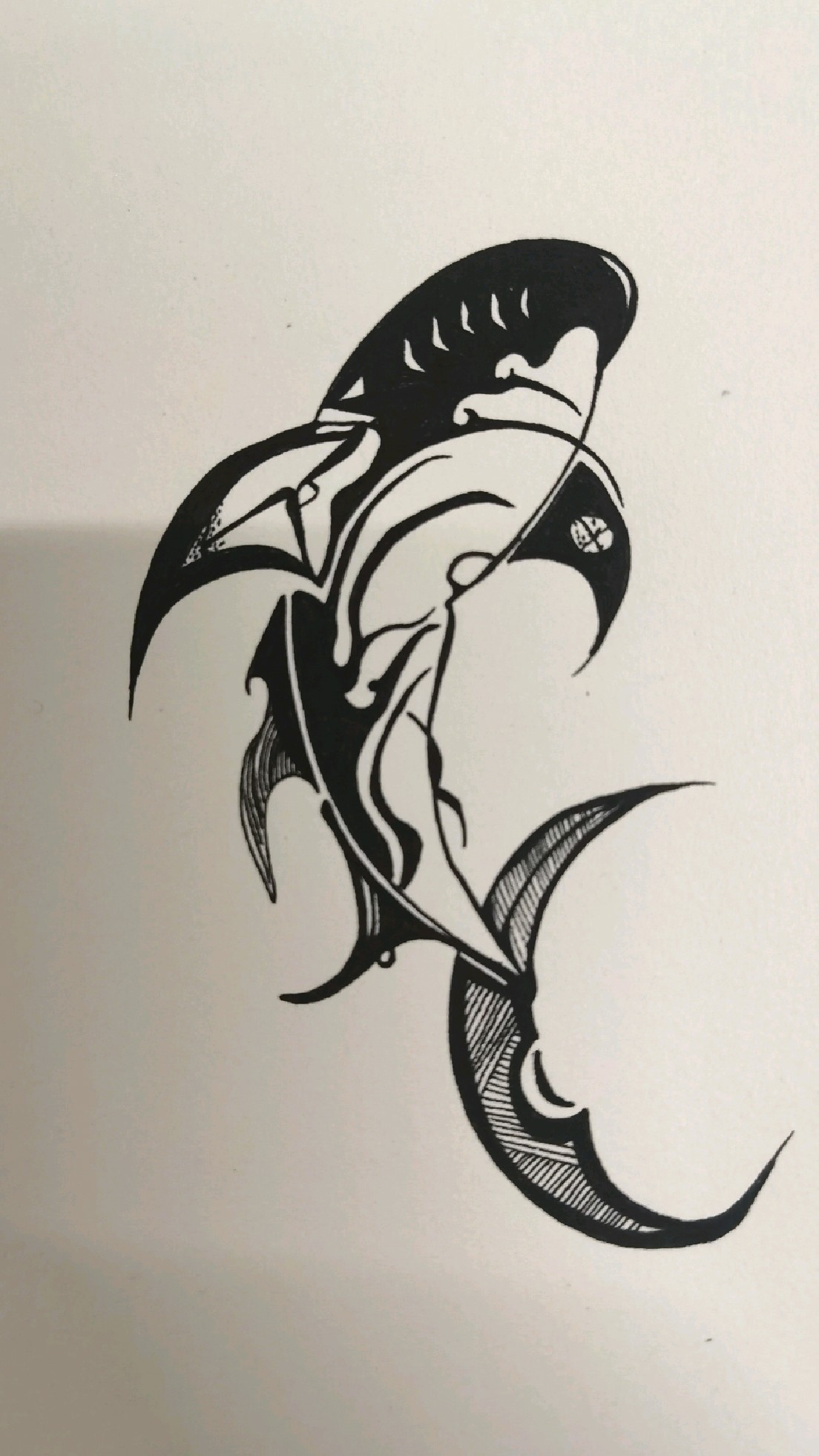 一分钟画一个黑白鲸鱼,喜欢绘画的你,不知道学会了吗?