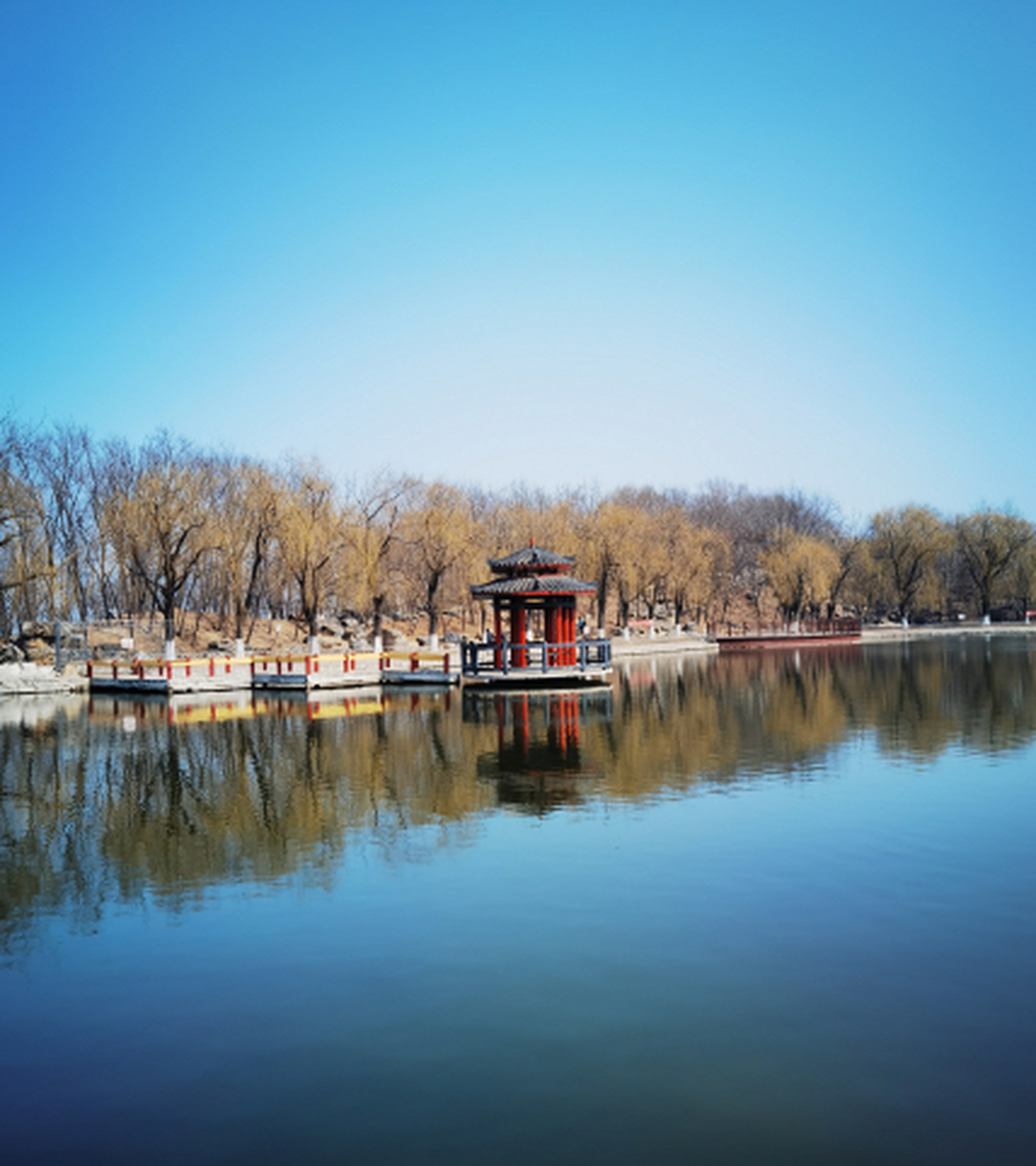 网红打卡地辽宁杠杠滴# 【最美辽宁】营口市老边区:春和景明#美好