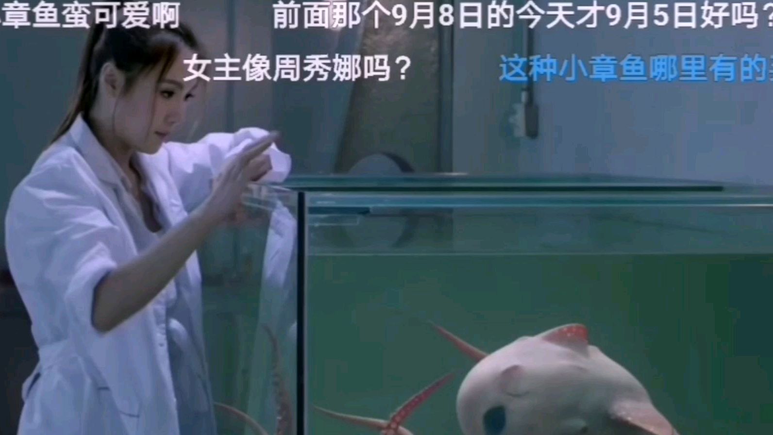 美女博士爱上了章鱼宝宝