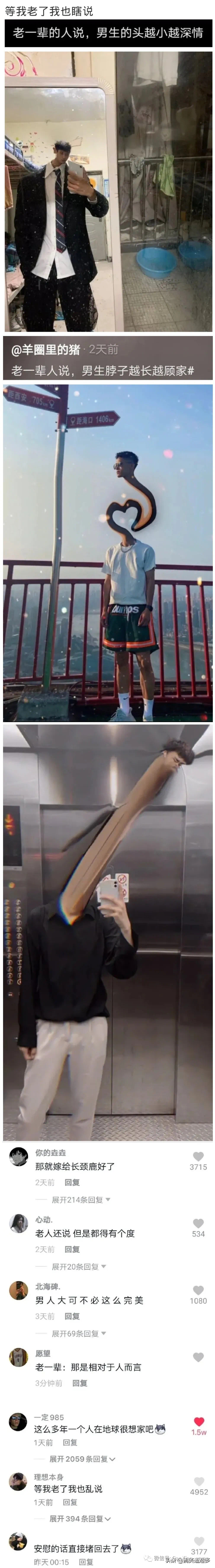 994_7233竖版 竖屏