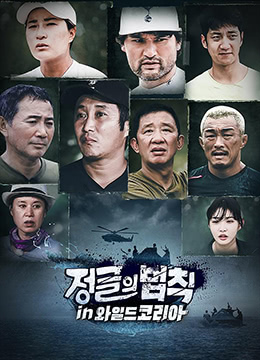 丛林的法则：韩国国内篇最新电影在线观看平台