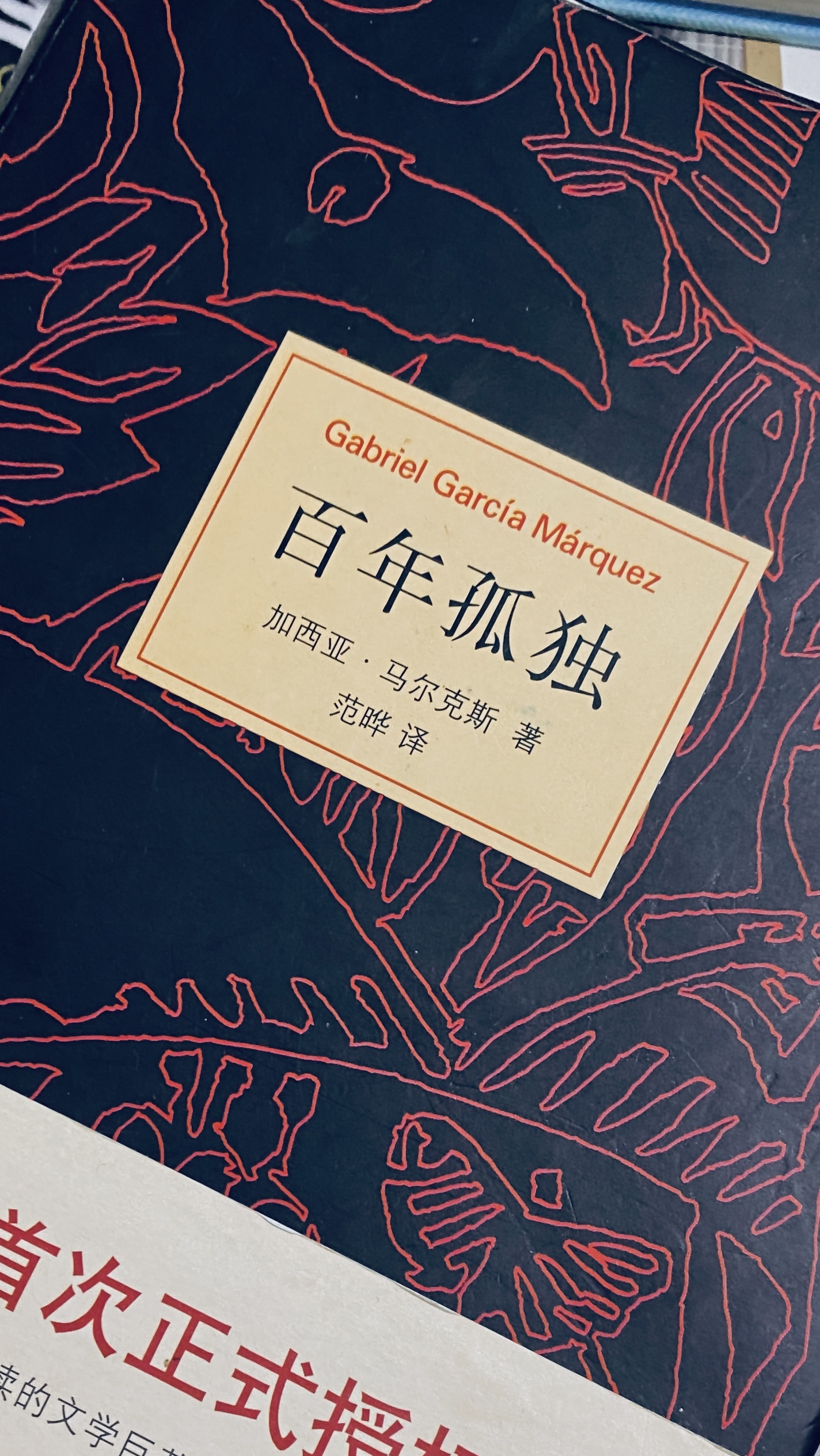 《百年孤独》这样读,不被人物关系混乱;从痴恋钢琴男子到嫁给何塞,她