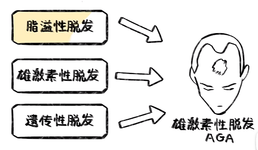 雄激素性脱发?脂溢性脱发?遗传性脱发?傻傻分不清楚