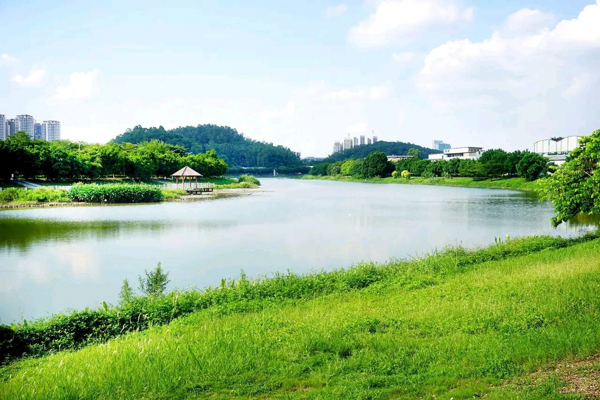 广州番禺区沙湾街龙湾涌湿地公园,景色宜人.