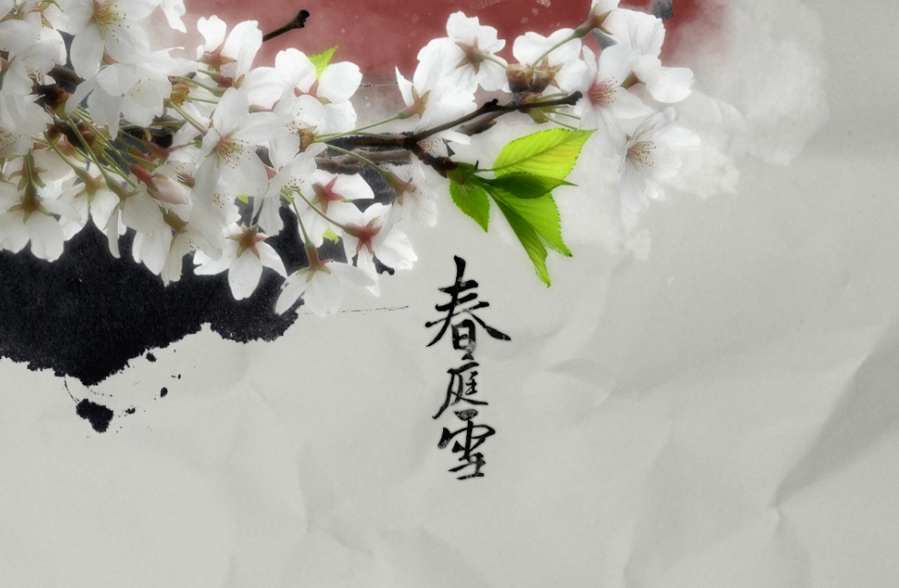 《春庭雪》的歌词是什么意思?