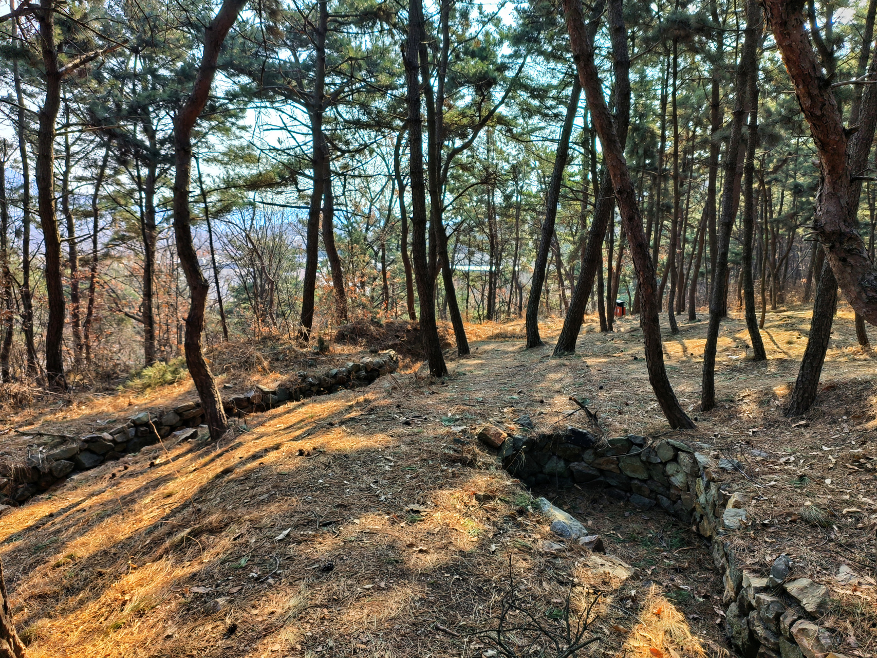 大连旅顺东鸡冠山景区,日俄战争遗迹,我们的壮美山河,却被整的满目