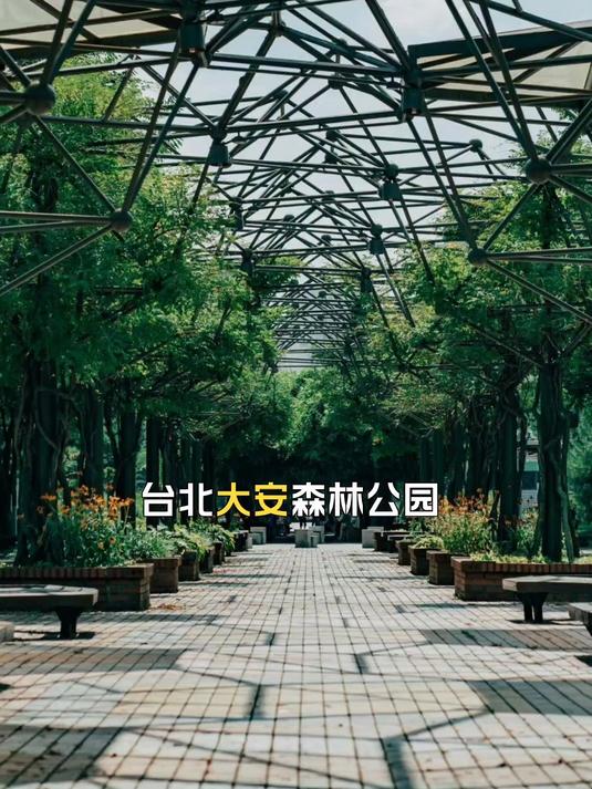 台北大安森林公园,毕业旅行的都市绿境宝藏地