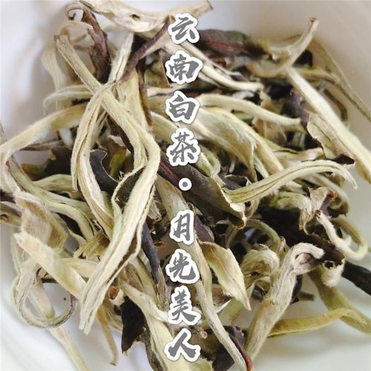 春季那些茶事(月光白)  白茶的其中一品种,月光白,也叫月光美人,它