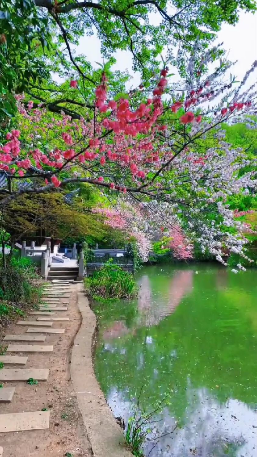 阳春四月风景依然很美!