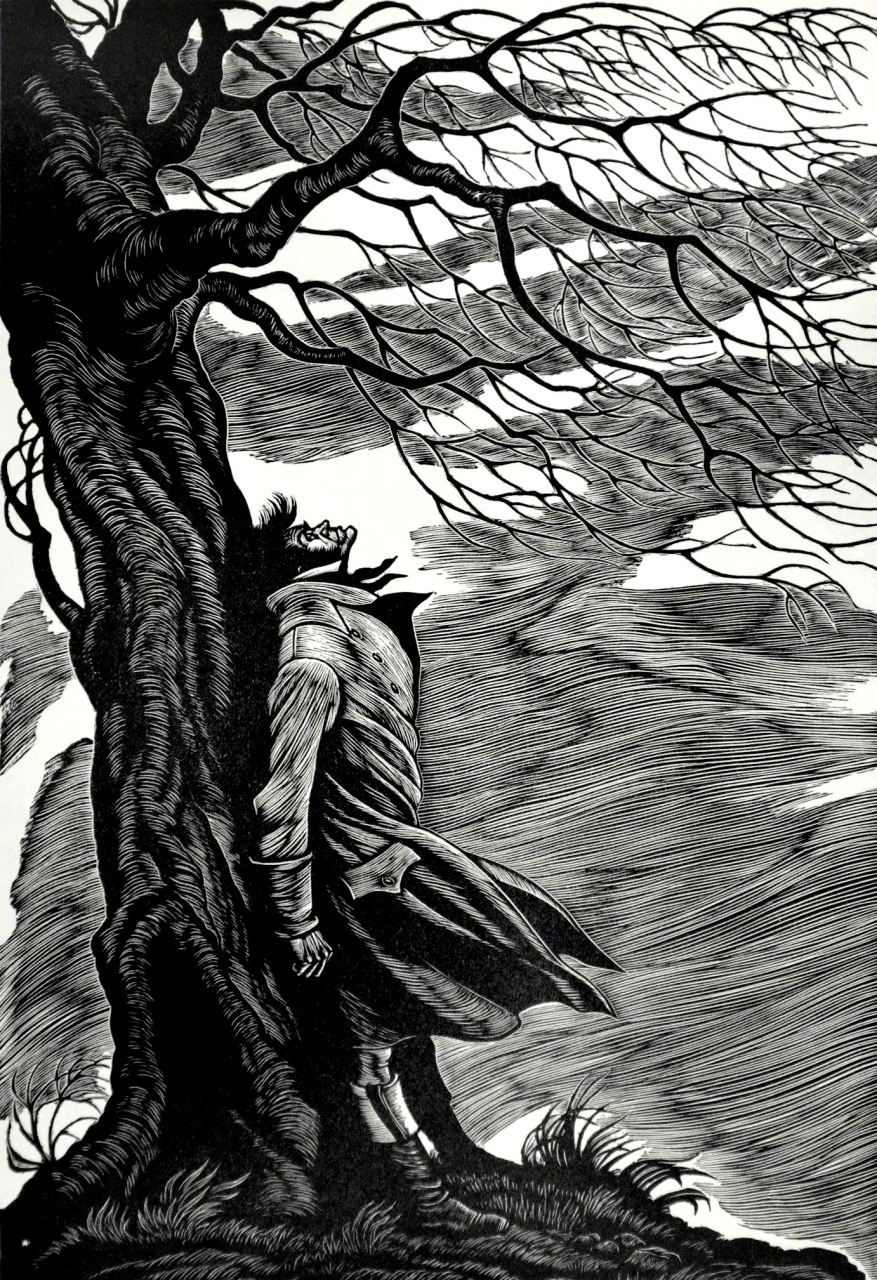 20世纪美国艺术家fritz eichenberg木刻版画作品欣赏,展现了粗砺壮阔