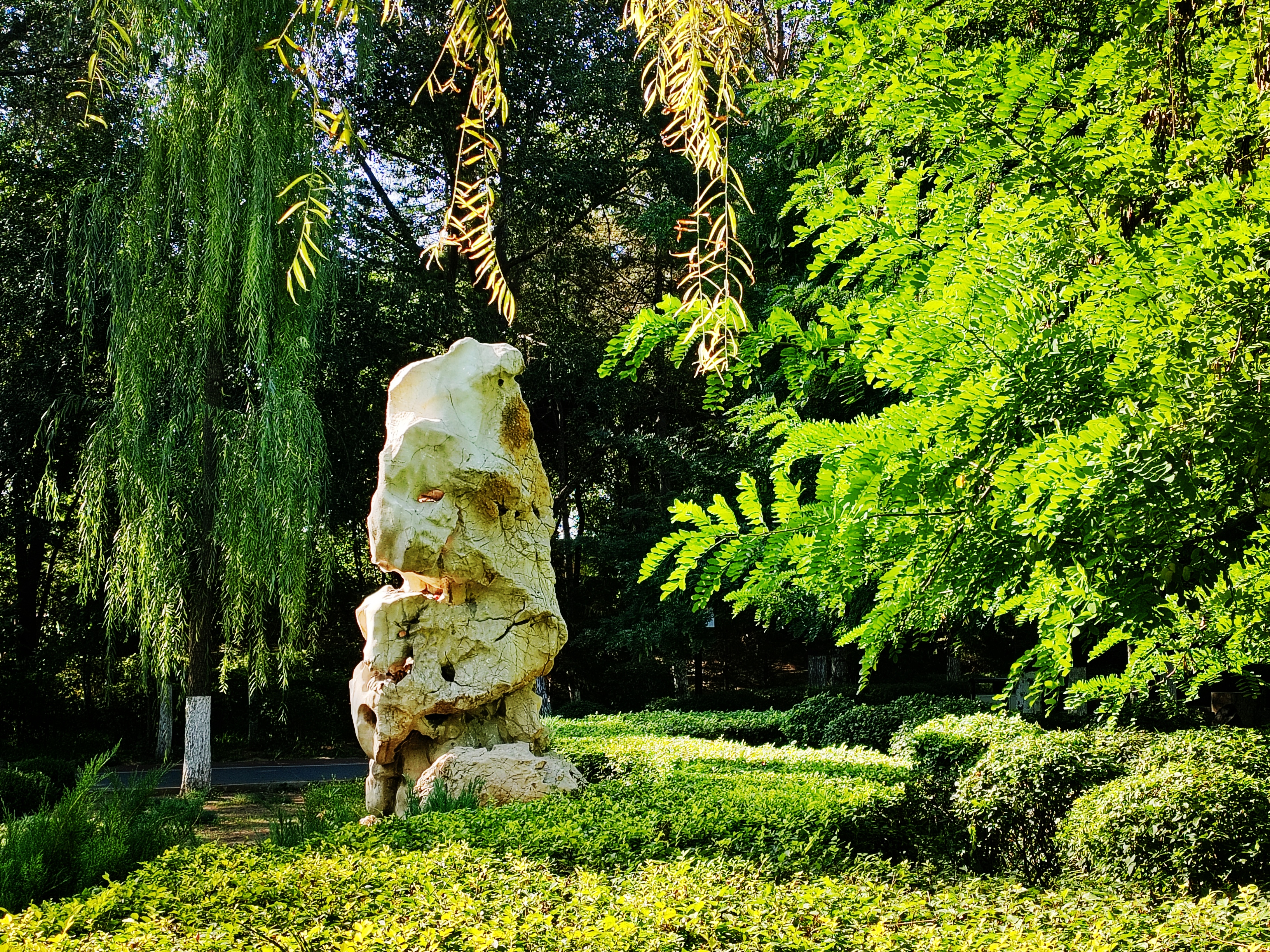 「走走拍拍61内蒙」质朴的赤峰植物园