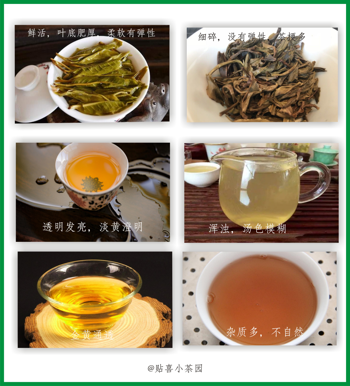 从茶汤分辨出普洱茶的好坏 汤色是分辨普洱茶真假好坏的最直接