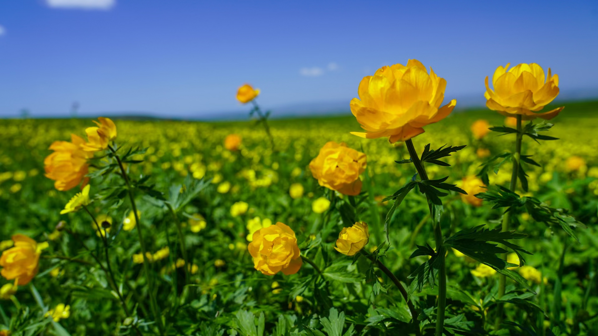 爱上"花样裕民·富裕民间"的一百种理由!