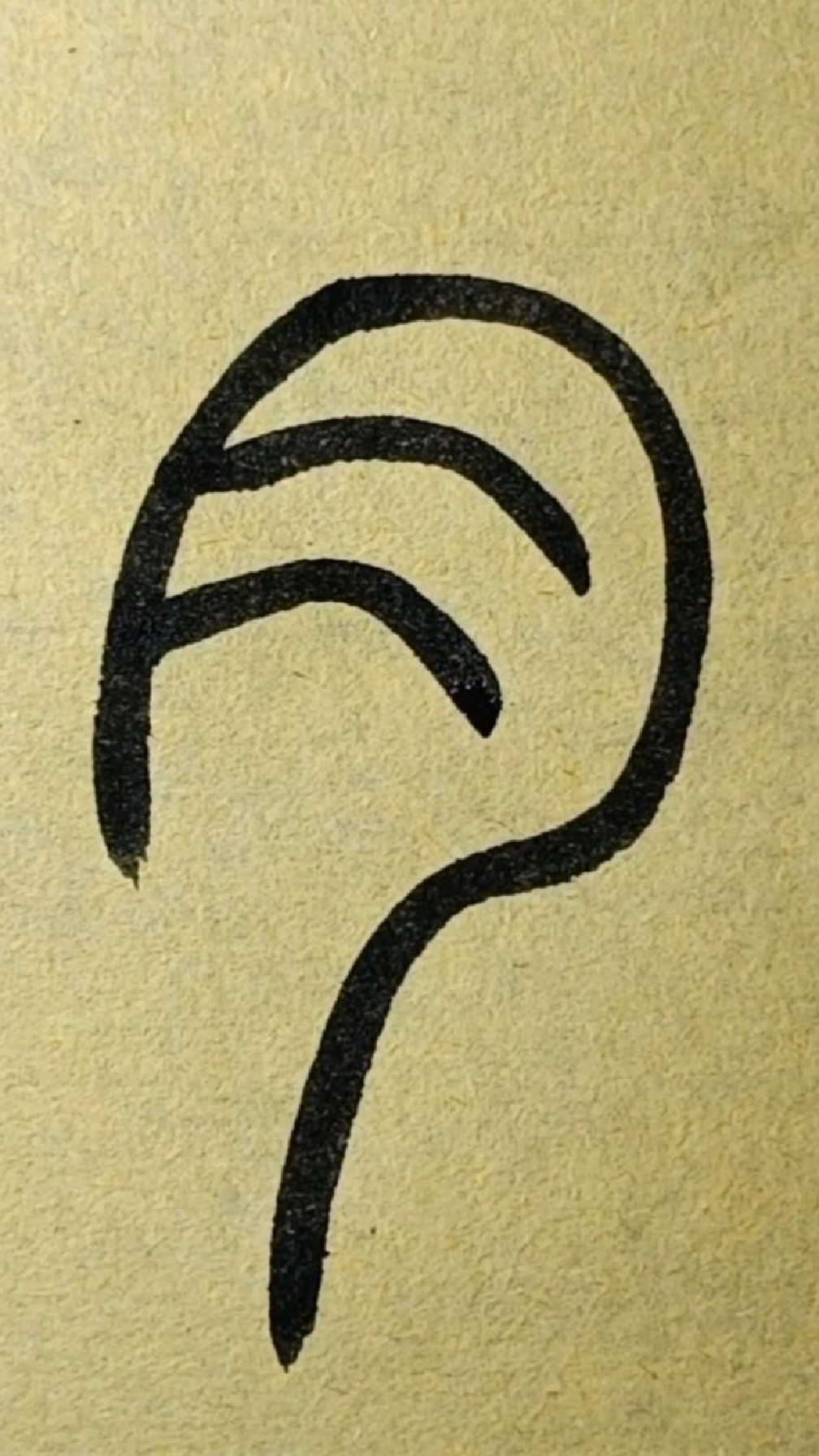 135肉篆书王福厂说文部首临学