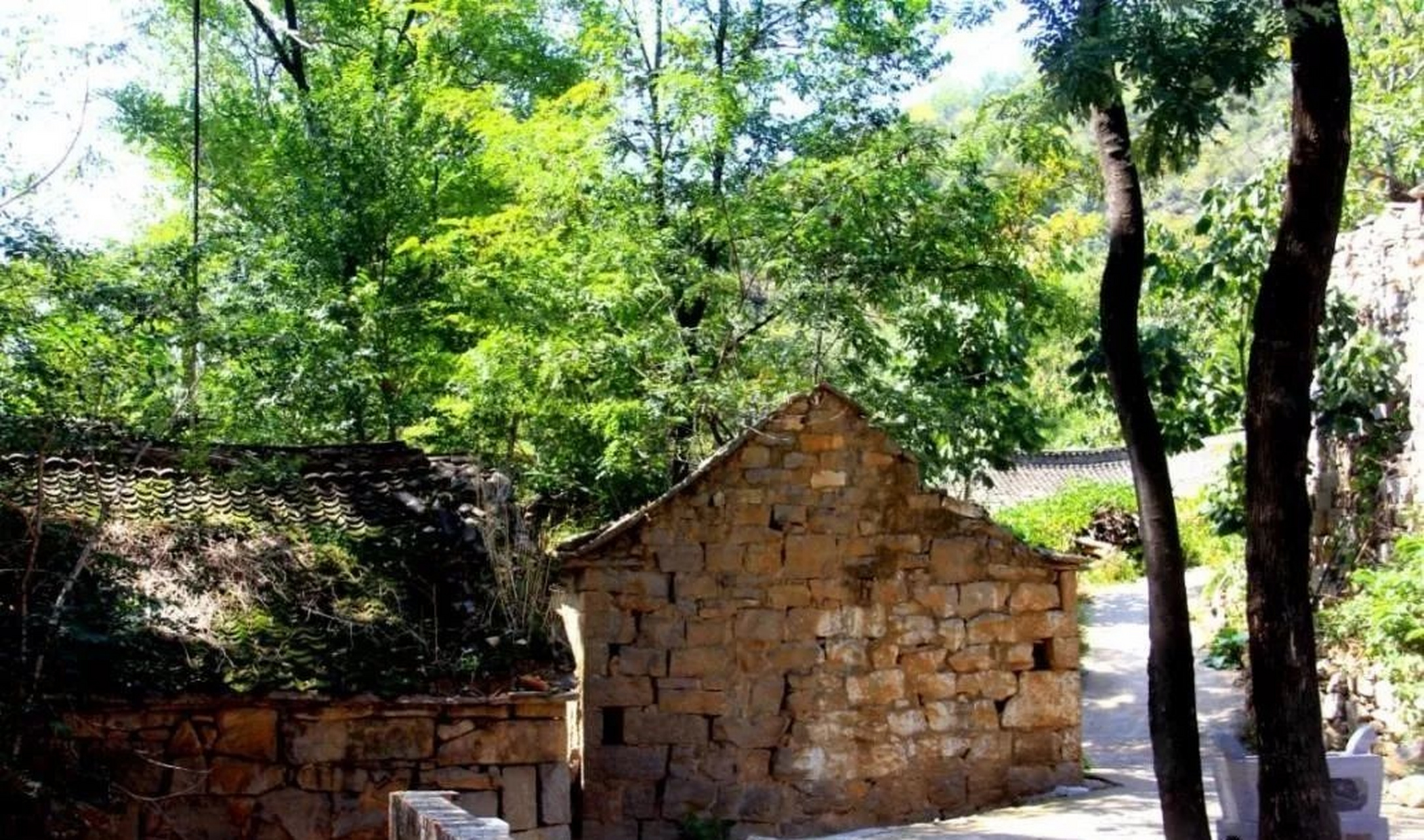 乐享周末分享吧# 白泉村位于河南省林州市临淇镇南端深山区,属太行