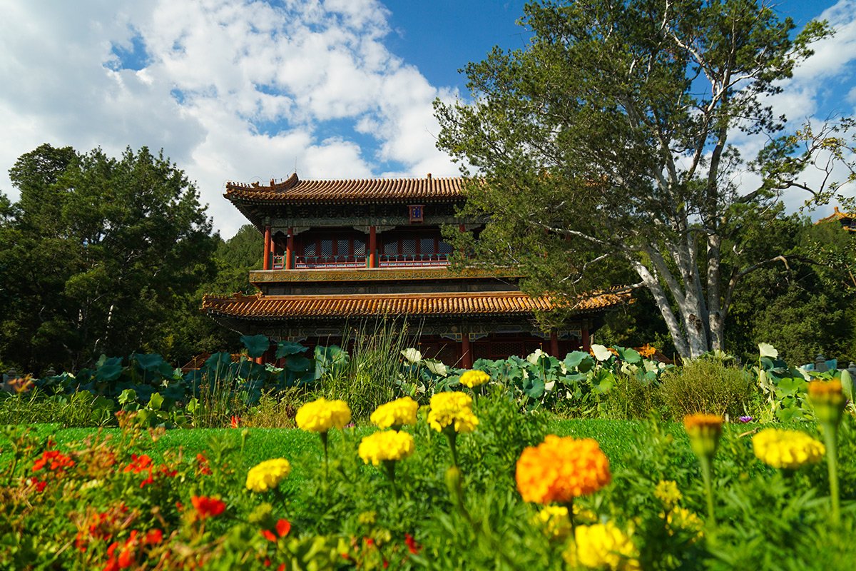 武则天贬谪牡丹花的真相