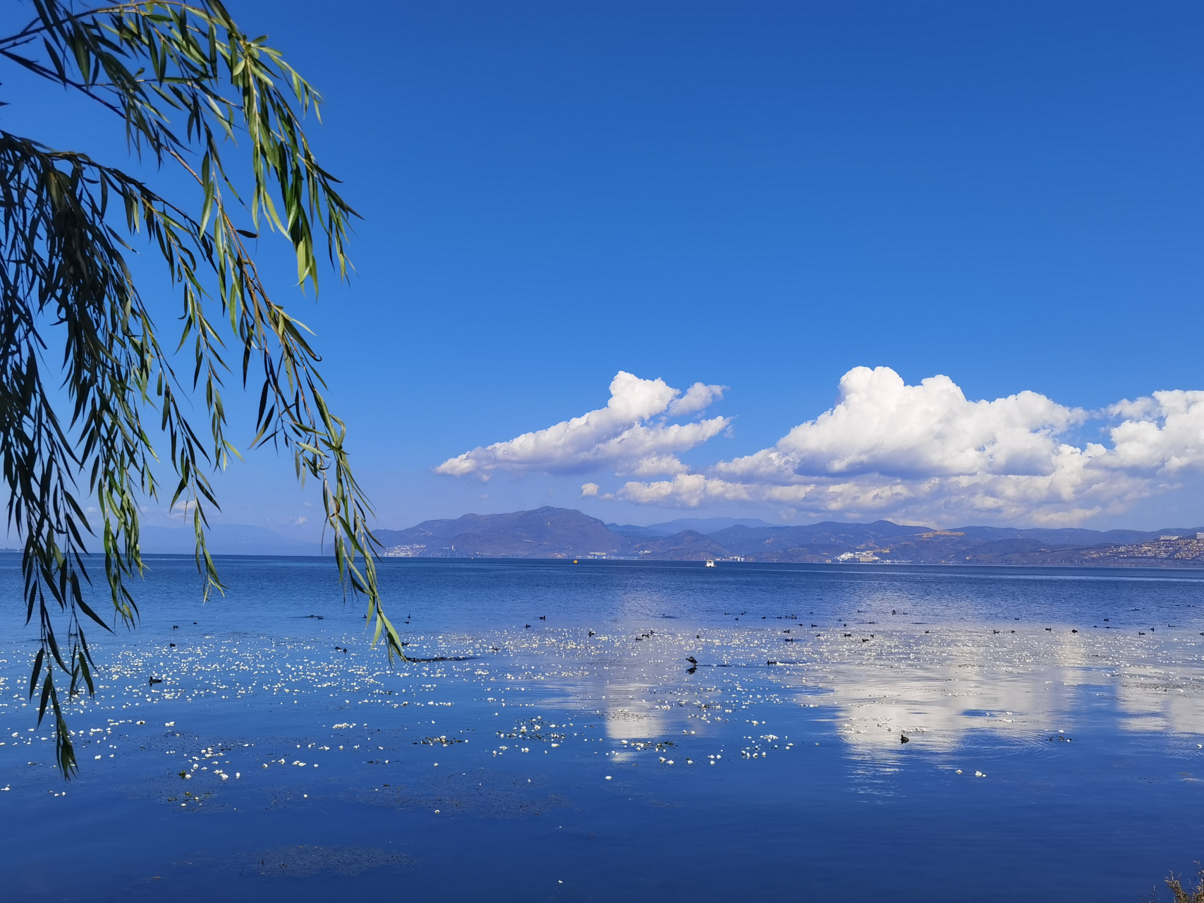 大理洱海美景