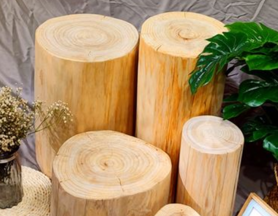 彩木是什么木头