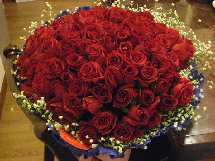 没有情人的情人节