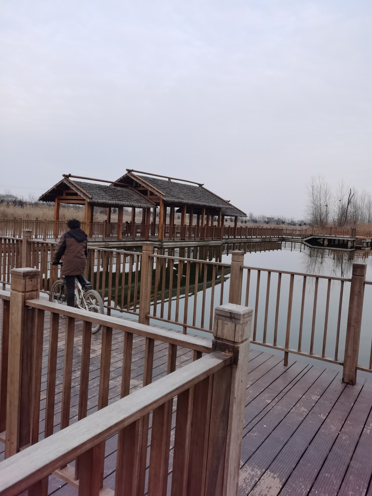黄河故道湿地公园
