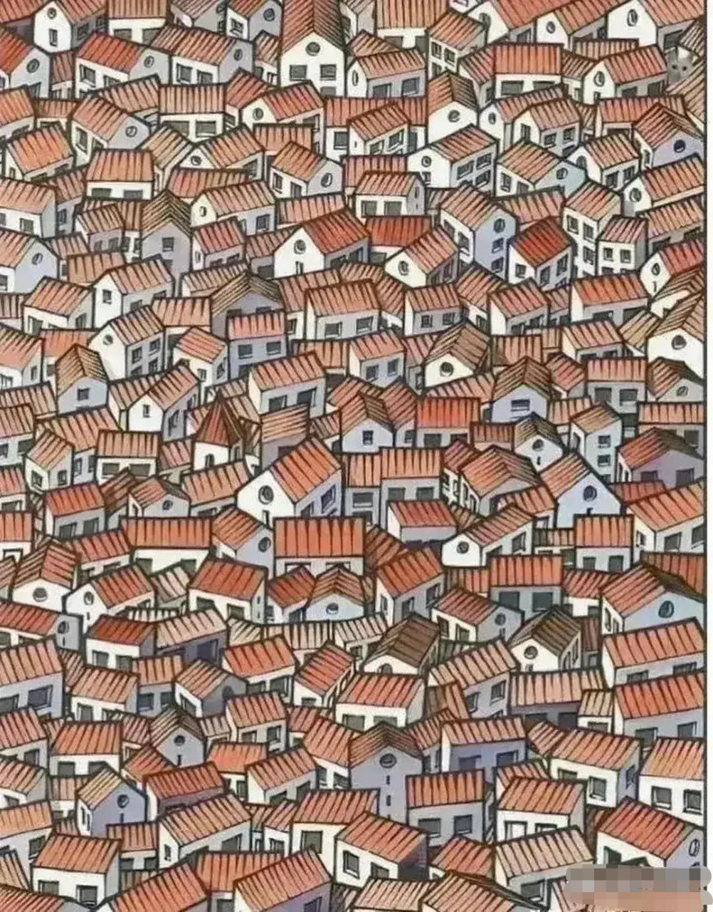 能在二十秒之内找到猫猫的,说明眼力过人