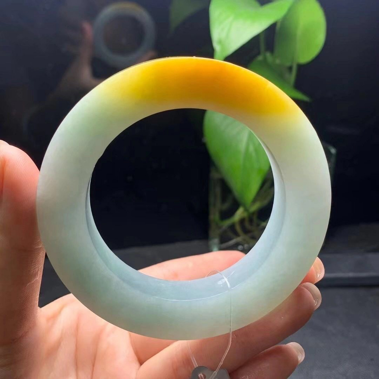 鸡油黄翡翠手镯毛胚 胶胶的绿底鸡油黄毛胚, 尺寸:54.5*12.6*12.