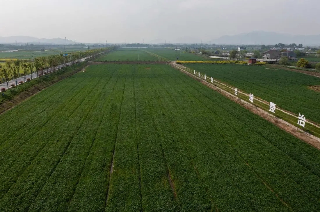 中央一号文件:明确小田变大田,你知道了吗?