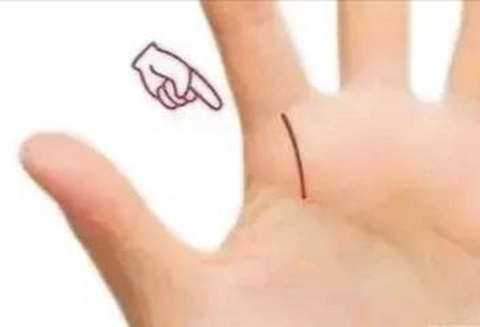 希望线  希望线位于我们食指根部,是由食指根部往智慧线延伸并且相交