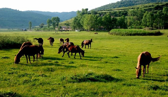 一场大雨,一个孔洞,一张破纸,引出一个改变世界历史的重大发现