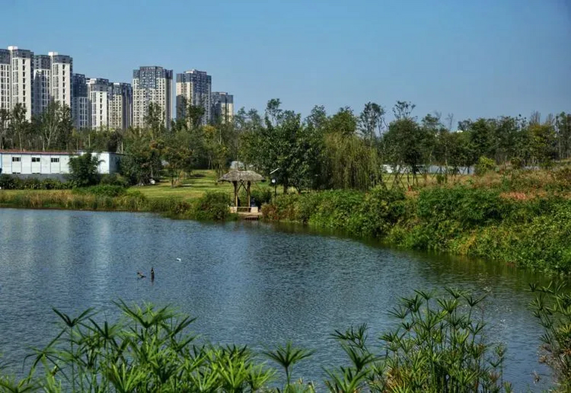 成都姜先生告知,我在百悦天鹅湖有一套107平米,套三双卫带精装,处于