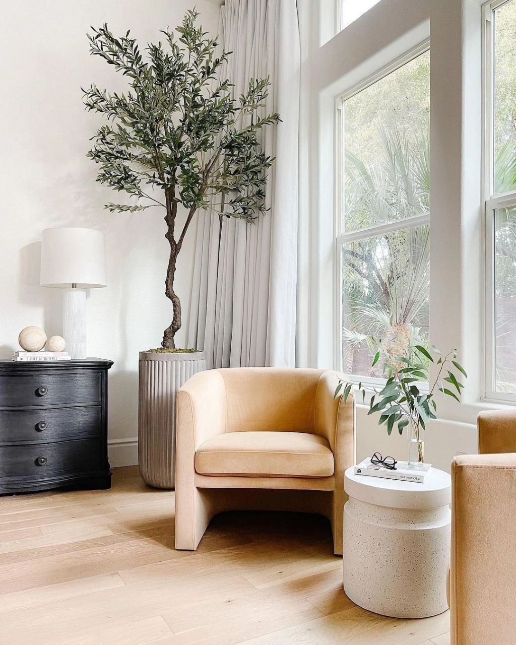 家居装饰中,植物必不可少,既能扮靓家居环境,又能打造出清新自然的氛