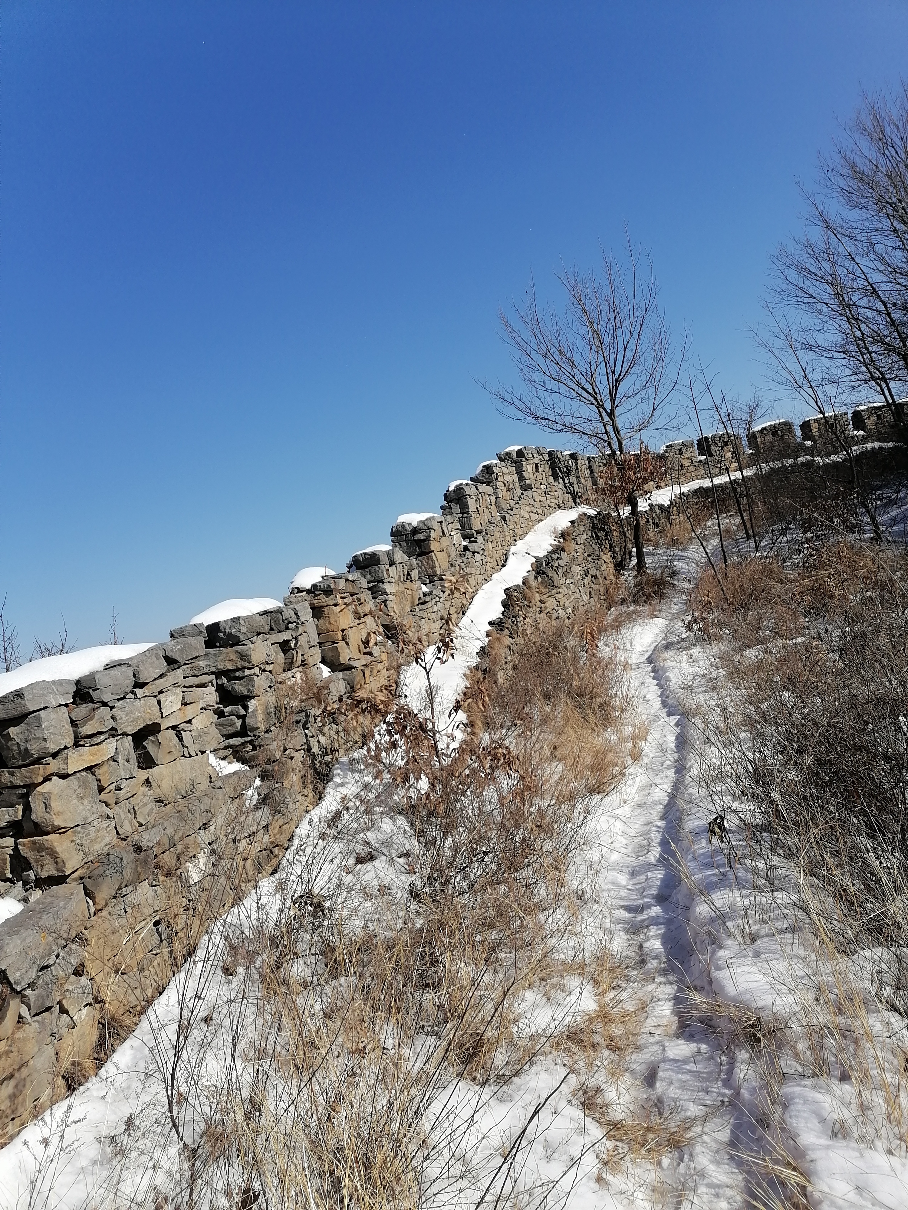 杨树沟风景区图片