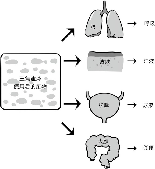 中医的三焦到底是什么?三焦就是你身边一个小垃圾桶!(一)