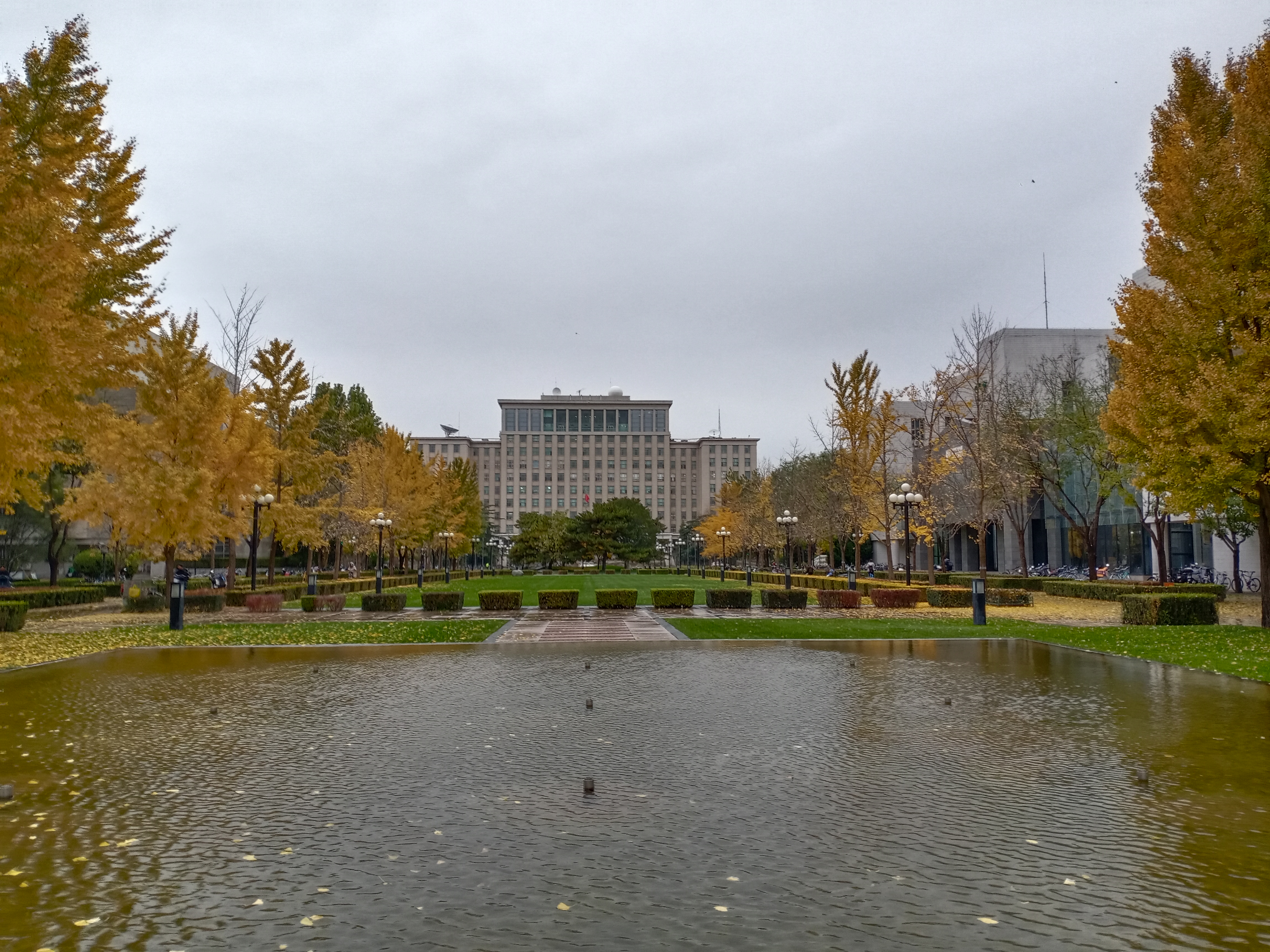 清华大学校景