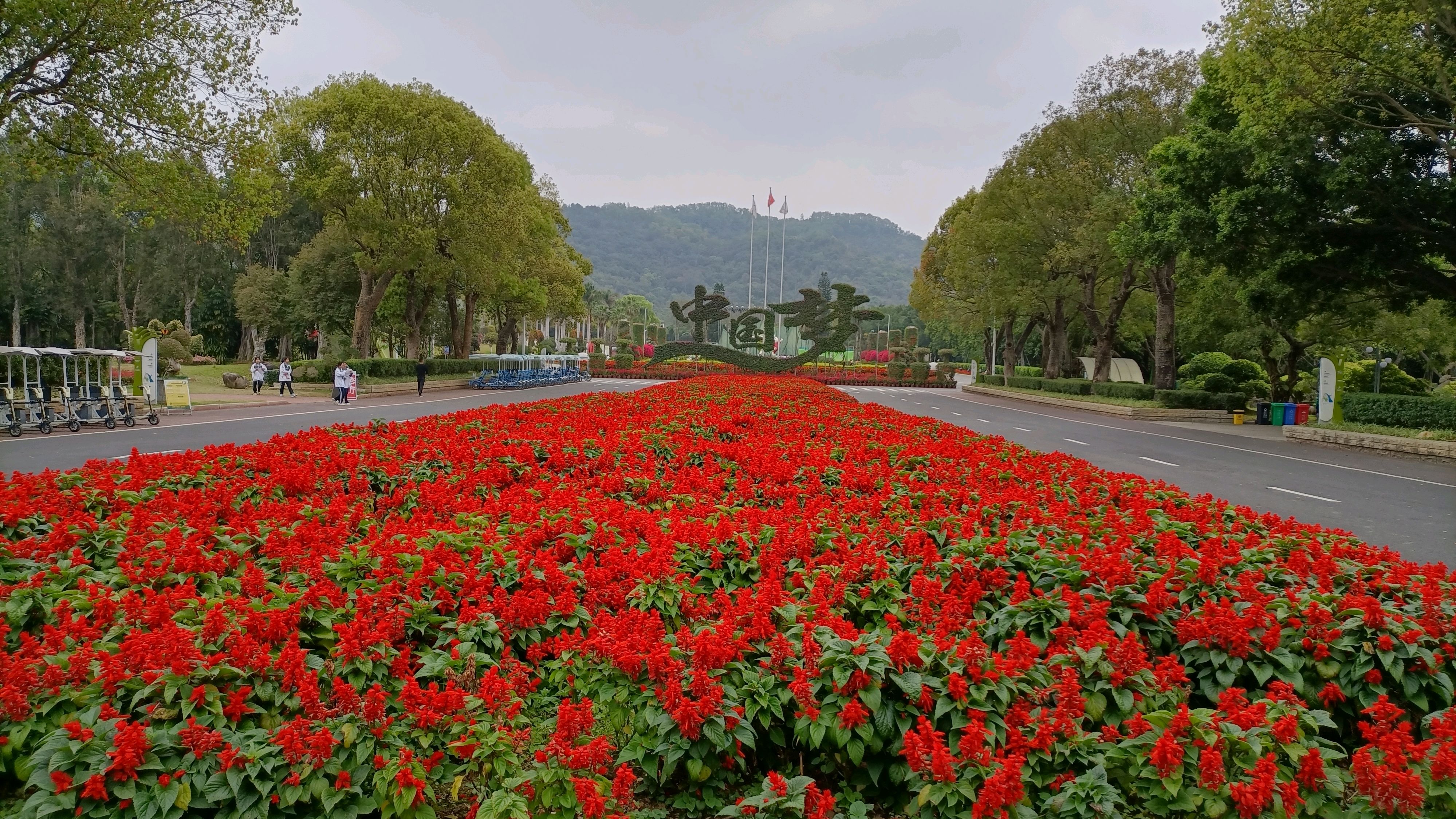 漳州东南花都花博园,这里百花盛开春滿园